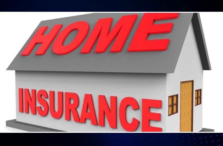 Top 8 Property Insurance Providers in the USA